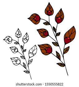 Decorative autumn leaves with colorful trendy style berries vector flat icon illustration sign icon on white background for nature and web