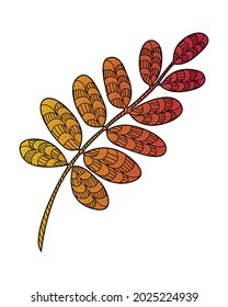 Decorative autumn leaves. The autumn plant is decorated with a pattern. Autumn gradient. Design element for print, label, logo, packaging template. Coloring. Vector outline illustration.