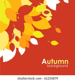 Decorative autumn leaves vector background.