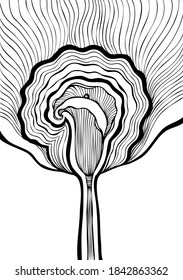 Decorative background with Abstract flower Calla black and white in line art Zen tangle or Zen doodle style for coloring page or coloring book or for package or decoration different things 