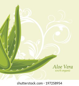 Decorative background with aloe vera. Vector