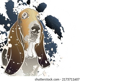 Fondo decorativo con Basset Hound y salpicaduras. Diseño de plantilla de tarjeta. Ilustración vectorial.