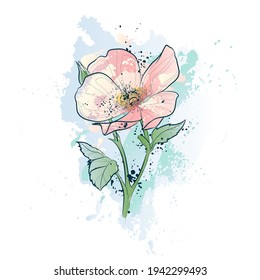 Decorative background with beautiful flower (Rosa rubiginosa). Card template design. Vector illustration.