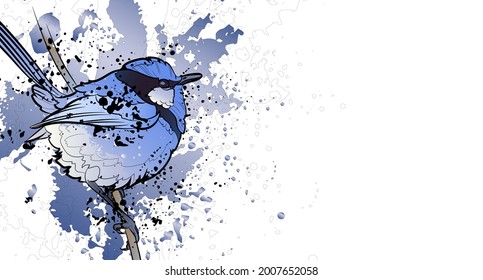 Decorative background with blue bird on branch. The splendid fairywren (Malurus splendens). Card template design. Vector illustration.