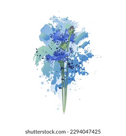 Decorative background with blue cornflowers and splashes. Card template design. Vector illustration.