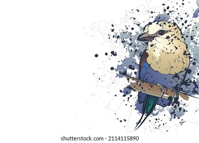 Decorative background with blue-bellied roller (Coracias cyanogaster) on branch and splashes. Card template design. Vector illustration.