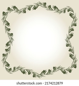 Fondo decorativo con bordes de ramas de olivo 