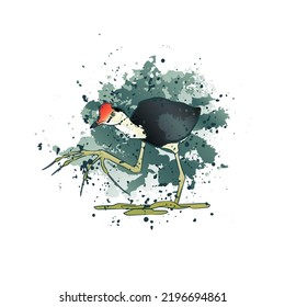 Decorative background with comb-crested jacana. Card template design. Vector illustration.