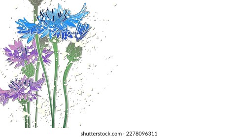 Fondo decorativo con flores de maíz. Diseño de plantilla de tarjeta. Ilustración vectorial.