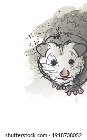 Decorative background with cute opossum. Card template design. Vector.