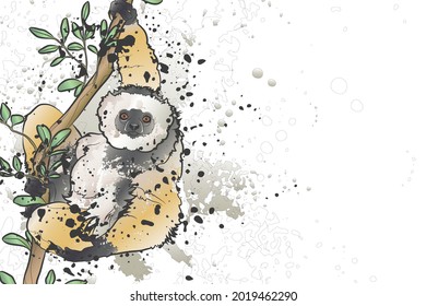 Decorative background with diademed sifaka (Propithecus diadema). Vector illustration.