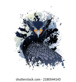Fondo decorativo con cormoranes de doble cresta y salpicaduras. Diseño de plantilla de tarjeta. Ilustración vectorial.