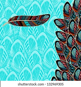 Decorative background with feather border