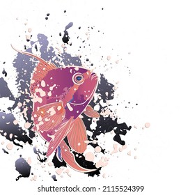Fondo de decoración con peces (Anthias anthias) y salpicaduras. Diseño de plantilla de tarjeta. Ilustración vectorial.