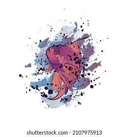 Decorative background with fish (Anthias anthias) in water. Card template design. Vector illustration.