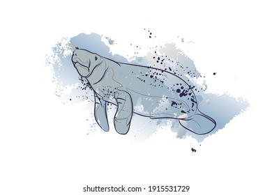 Decorative background with floating manatee (sea cow). Vector illustration.
