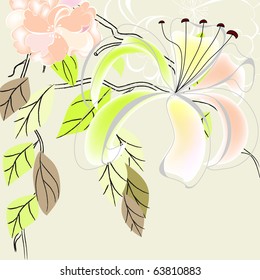 Decorative background with flowers