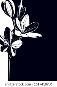 Decorative background with flowers. Invitation card template design.