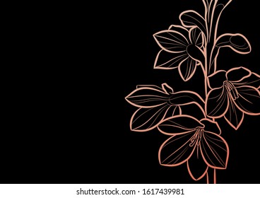 Decorative background with flowers (Watsonia Tabularis). Vector illustration.