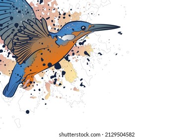 Decorative background with flying common kingfisher and splashes. Card template design. Vector illustration.