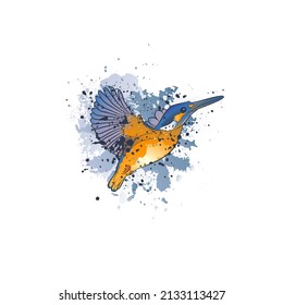 Fondo decorativo con un pescador común volador. Diseño de plantilla de tarjeta. Ilustración vectorial.