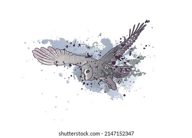 Decorative background with flying Great grey owl. Card template design. Vector illustration.