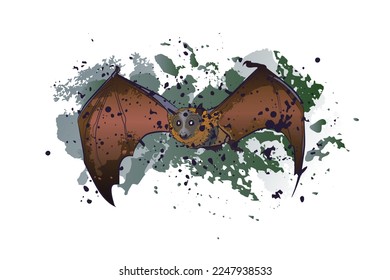 Decorative background with flying large flying fox and splashes. Card template design. Vector illustration.