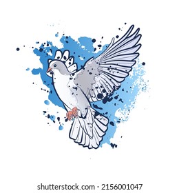 Decorative background with flying white dove and splashes. Card template design. Vector illustration.