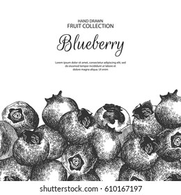 Decorative background with hand drawn berries.Can be label and banner for natural or organic fruit product and health care goods.