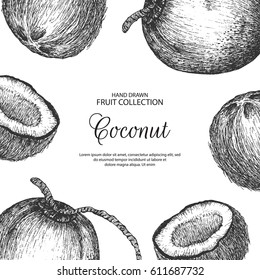 Decorative background with hand drawn coconut. Created by ink and pen sketch. Can be label and banner for natural or organic fruit product and health care goods.