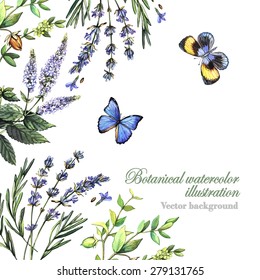 Decorative background with herbs and butterflies. Watercolor.Vector illustration. Illustration for greeting cards, invitations, and other printing projects.