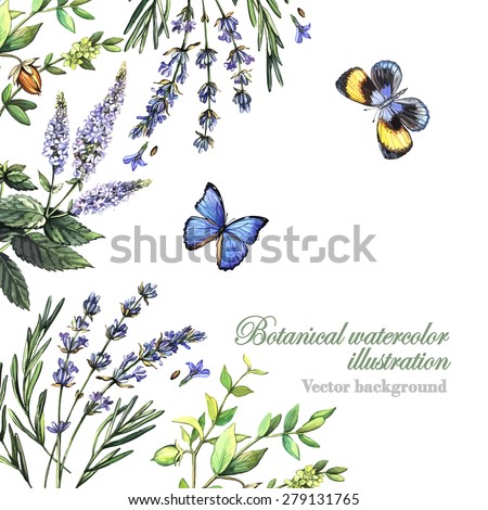Similar – Image, Stock Photo Butterflies cover the face
