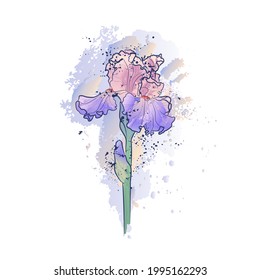 Decorative background with iris flower. Card template design. Vector illustration.