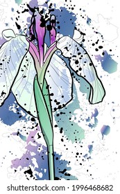 Fondo decorativo con flor de iris. Diseño de plantilla de tarjeta. Ilustración vectorial.