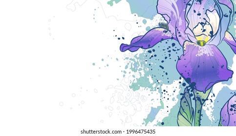 Decorative background with iris flower. Card template design. Vector illustration.