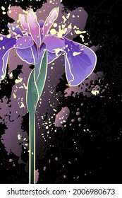 Decorative background with iris flower. Card template design. Vector illustration.