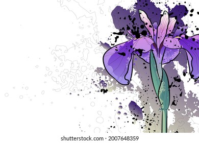 Decorative background with iris flower. Card template design. Vector illustration.