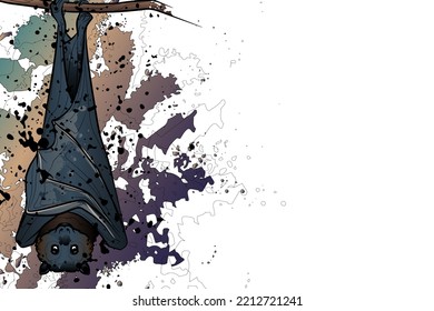 Decorative background with large flying fox and splashes. Card template design. Vector illustration.