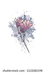 Decorative background with magnolia flowers. Magnolia branch and splashes. Card template design. Vector illustration.