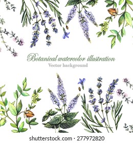 Decorative background with medicinal plants. Watercolor. Vector illustration. Illustration for greeting cards, invitations, and other printing projects.