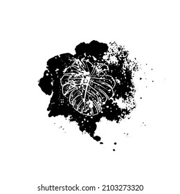 Decorative background with monstera leaf in black splashes. Graphic drawing. Vector illustration.