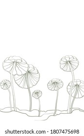 Fondo decorativo con champiñones. Ilustración vectorial.