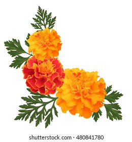Decorative background with orange marigolds, symbol of mexican holiday Day of dead. Vector illustration.