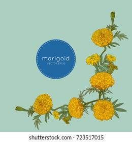 Decorative background and orange marigolds  symbol mexican holiday Day dead  Vector illustration 