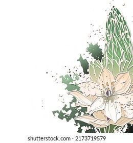 Decorative background with Ornithogalum narbonense. Card template design. Vector illustration.