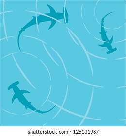 Decorative Background, Overhead  View Of Hammerhead Sharks Swimming In The Ocean