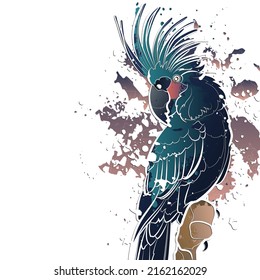 Decorative background with palm cockatoo on branch. Card template design. Vector illustration.