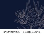 Decorative background with pine branch and cone. Vector illustration.
