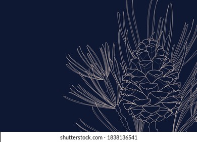 Decorative Background With Pine Branch And Cone. Vector Illustration.