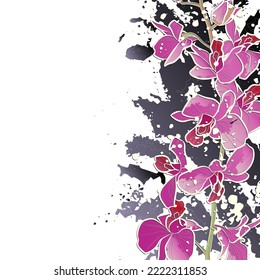 Fondo decorativo con flores rosas y salpicaduras. Diseño de plantilla de tarjeta. Ilustración vectorial.